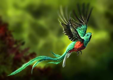 Peace Resplendent Quetzal