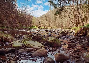 Highlands Stream
