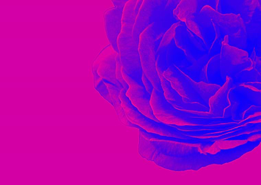 Mysterious and captivating