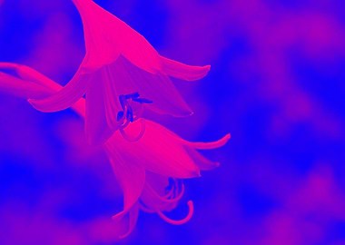 Romantic and innocent