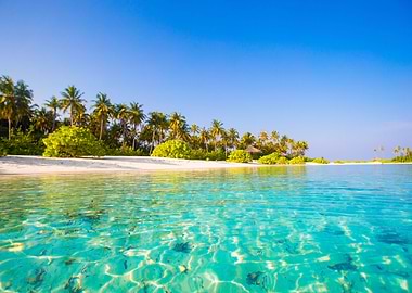 Beach Nature Sky Blue