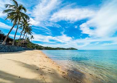 Beach Nature Blue Sky