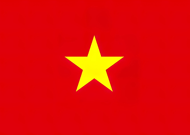 Vietnam Flag