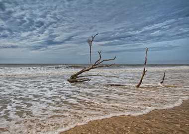 Edisto Beach