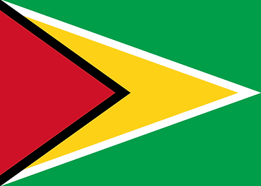 Guyana Flag
