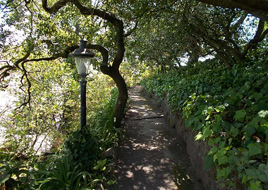 Garden Path