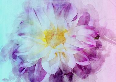 Marshmallow Dahlia Flower