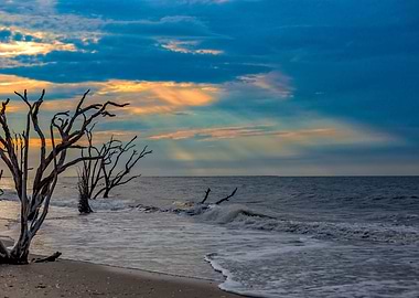 Edisto Island