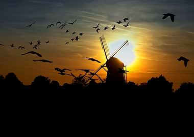 Windmill in the sunset