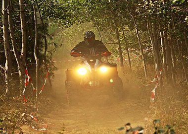 Rumble through the brush