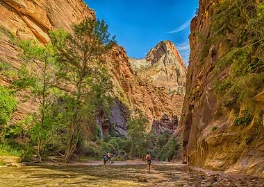 The Narrows Zion Park