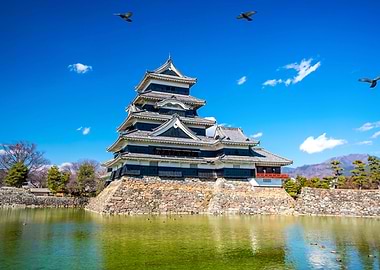Nature Japan Landscape