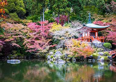 Nature Japan Landscape