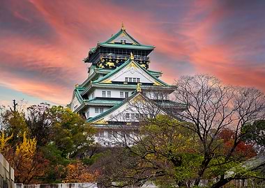 Nature Japan Landscape