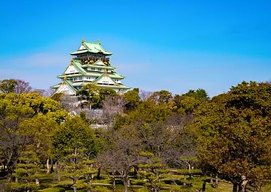 Nature Japan Landscape