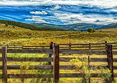 Osha Mountain Valley