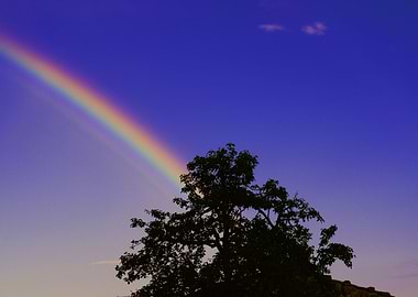 Rainbow Nature Landscape