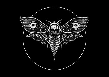 Deaths Head Hawkmoth