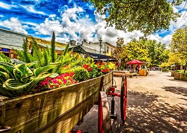 Savannah City Market