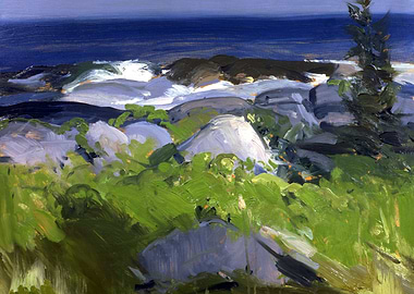 Vine Clad Shore Monhegan