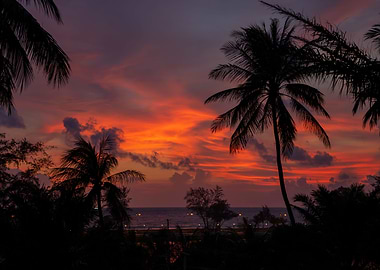 Exotic sunset and palms