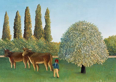 Meadowland The Pasture