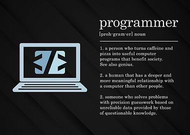 Programmer Definition