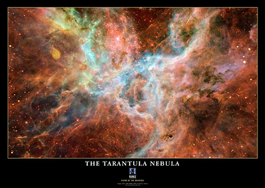 ESA Tarantula Nebula