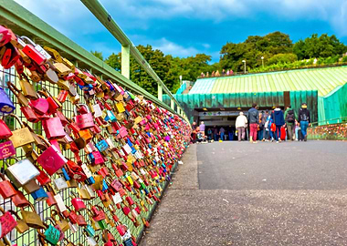 Love locks