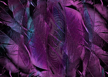Purple Feathers