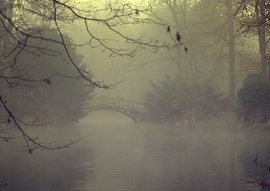 Mysterious morning in park