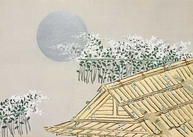 House from Momoyogusa