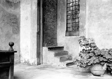 Impressions of Tuscany