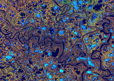 Yana River Delta Russia