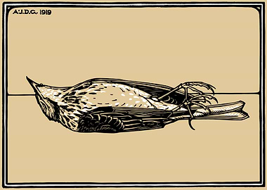 Dead Bird Julie de Graag