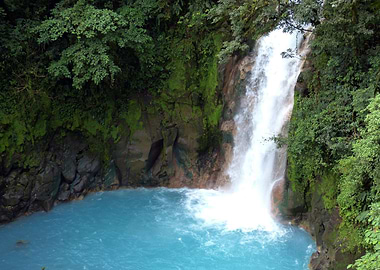 Waterfall in Forest Nature