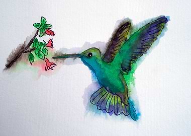 Hummingbird
