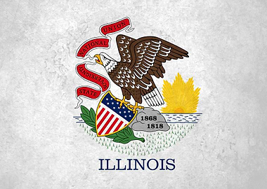 Flag of Illinois on Wall