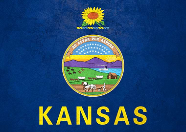 Flag of Kansas on Wall