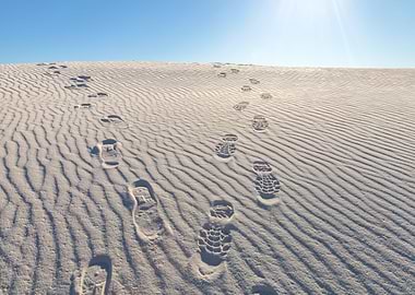 Follow the Footsteps