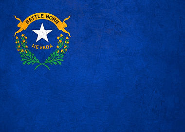 Flag of Nevada on Wall