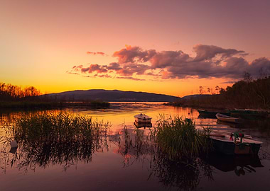 Summer sunset on the lake
