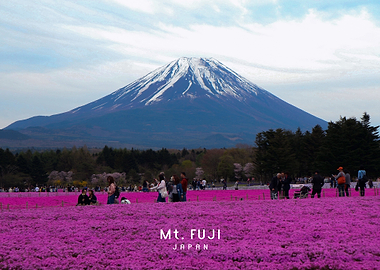 Mount Fuji