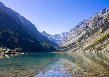 Reflection in the Lake