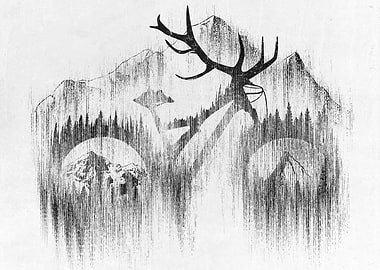 MTB Downhill and Bikes