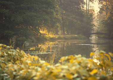 Morning light on the lake