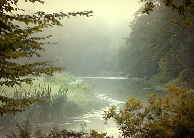 Autumn travel, misty river