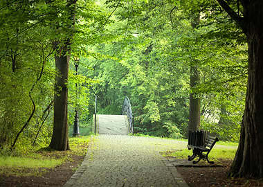 Summer morning, park, path