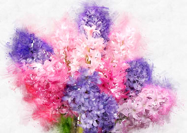 Hyacinth watercolor