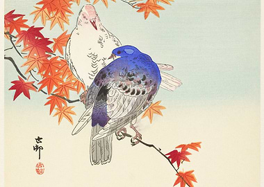 Two pigeons on autumn bran